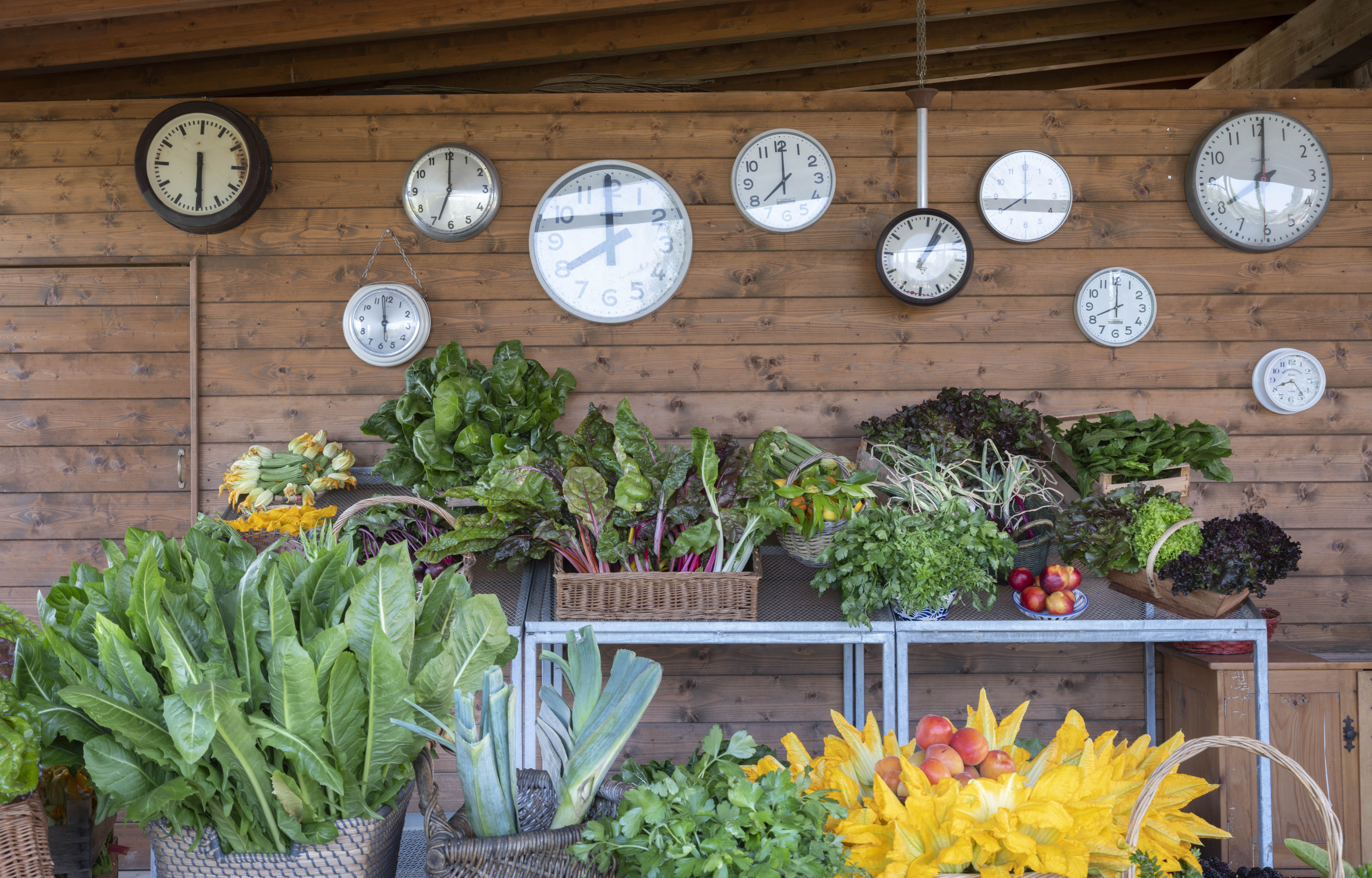 ECO AZIENDA Farm Relax